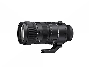 シグマ　24-70mm f2.8 Art Eマウントレンズ Amazon.co.jp: シグマ(Sigma) レンズ 24-70mm F2.8 DG DN Sony